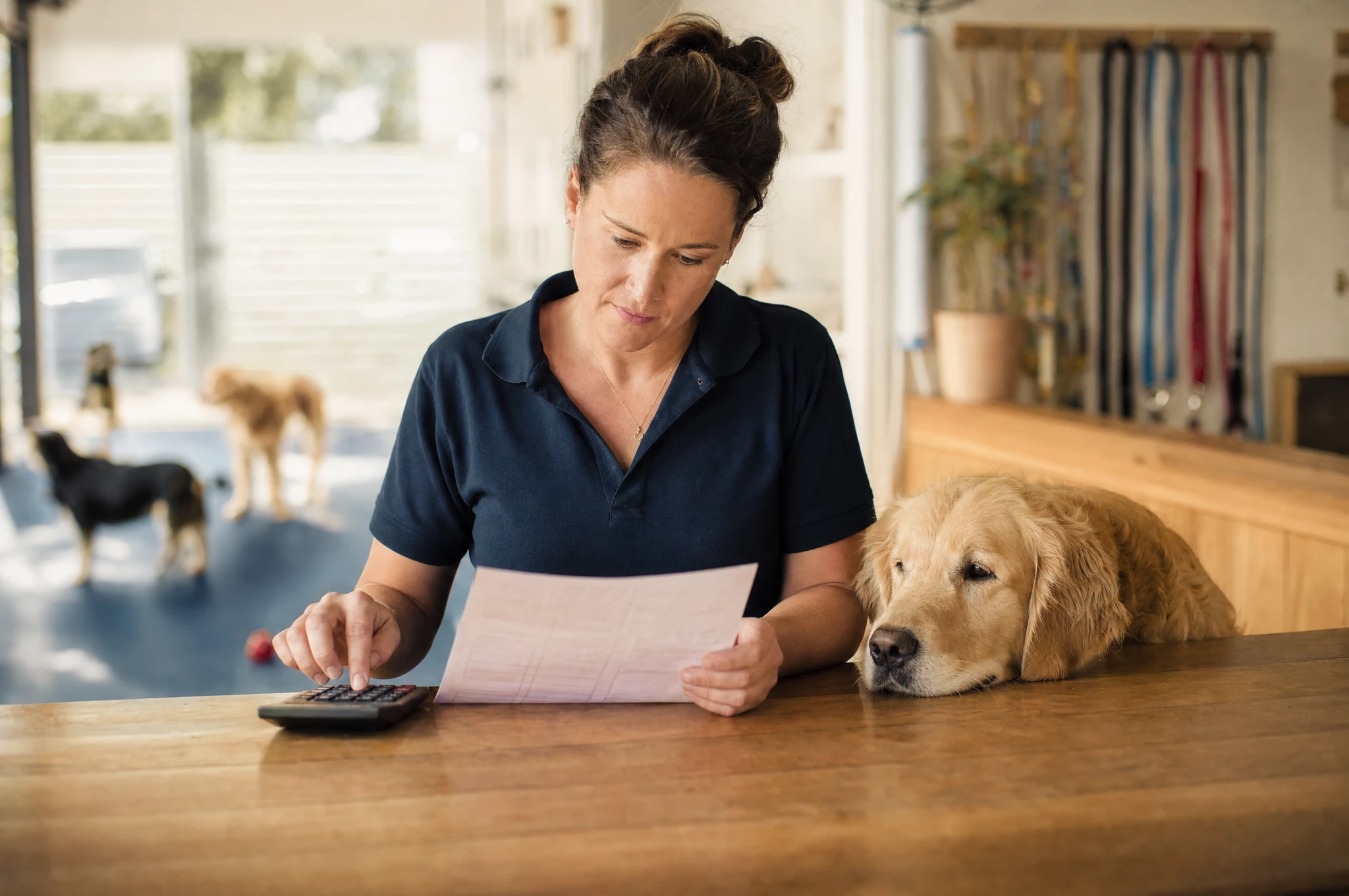 A daycare owner at the front desk with a golden retriever
